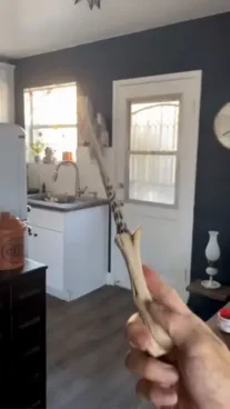 Harry Potter Wand