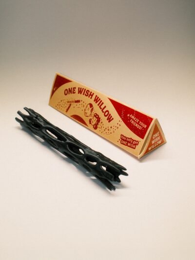 One Wish Willow Break & Wish Stick – Obsession Movie Inspired Collectible